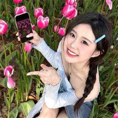 红姐2017